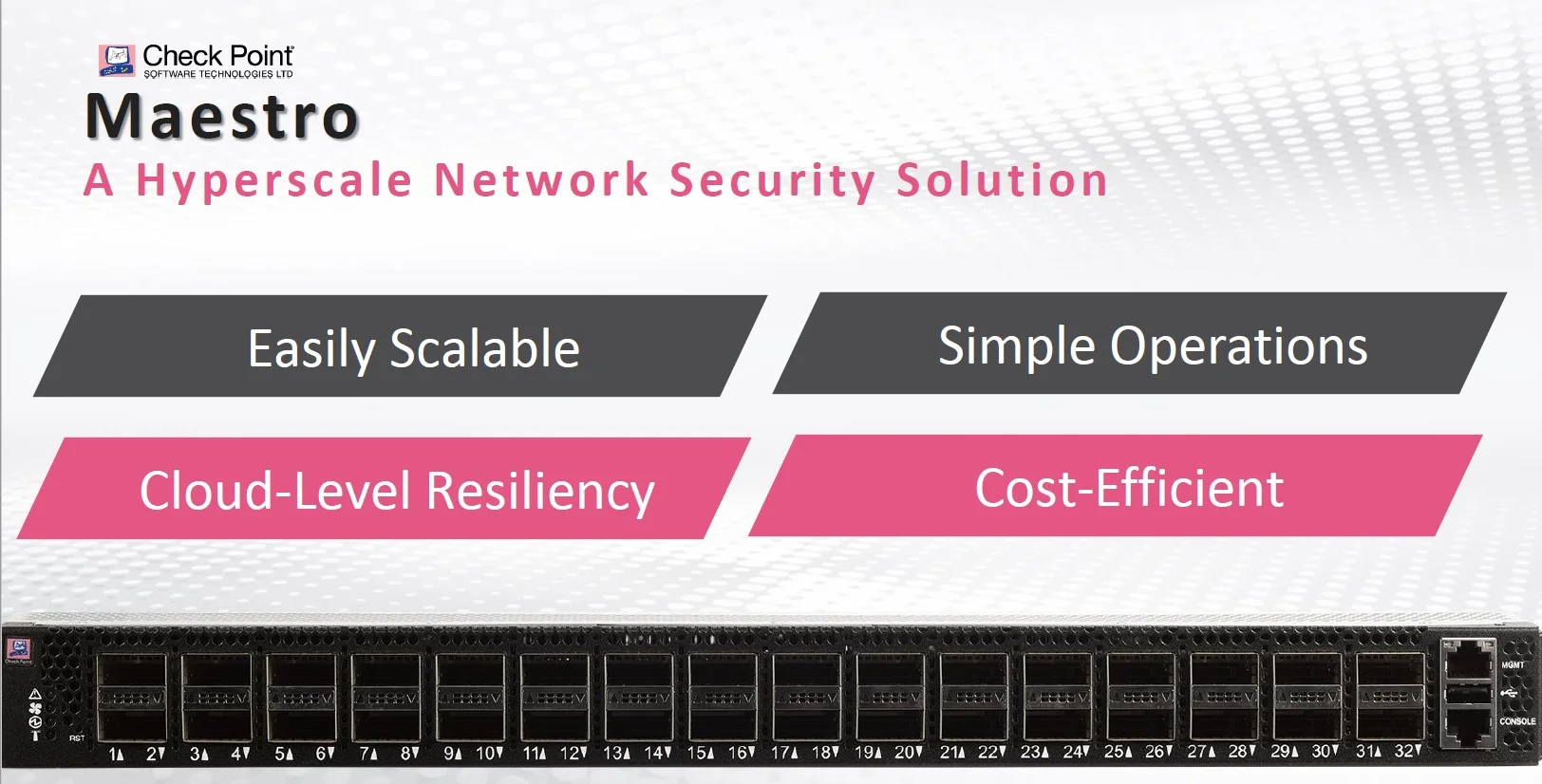Check Point Maestro Hyperscaling Performance TecBite