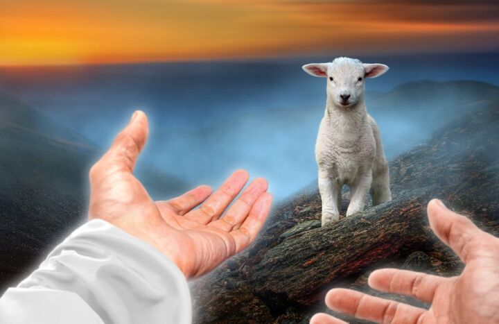 Hand Gottes zieht Schaf an.
