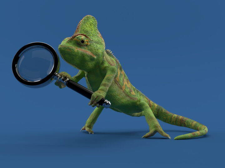 Check Point ElasticXL